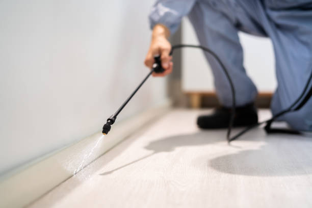 Bed Bug Pre-Treatment Preparation Assessment in Cherokee